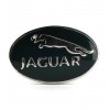 Gemelos Jaguar