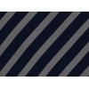 Corbata Rayas Azul y Plata